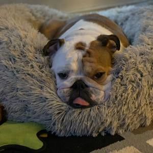 Meet your Posher, Angie